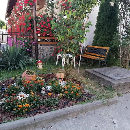 Guest house Pensiunea Ioana