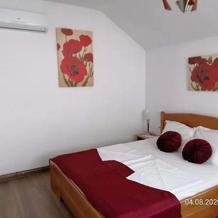 Pensiunea Ioana 3*