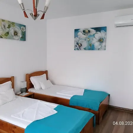 Pensiunea Ioana Guest house