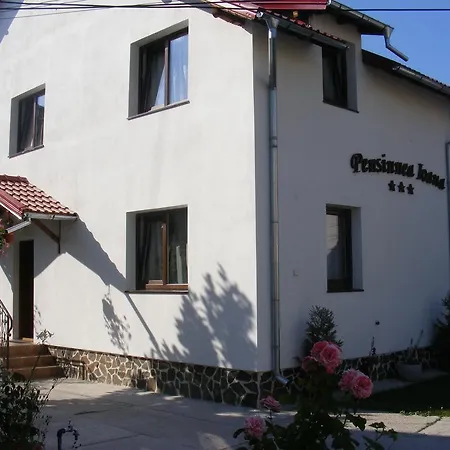 Guest house Pensiunea Ioana 3*