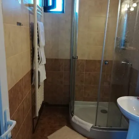 Guest house Pensiunea Ioana