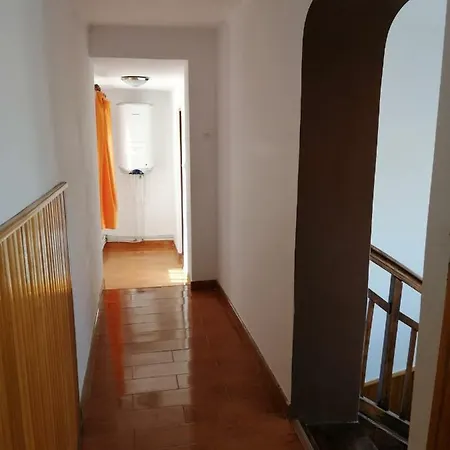Pensiunea Ioana Guest house