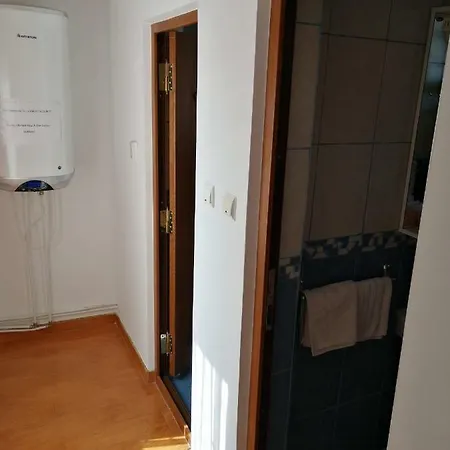 Guest house Pensiunea Ioana